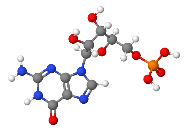 Molecular model of Guanylate